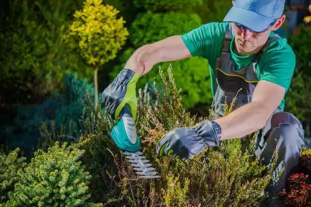 landscaping services New Orleans